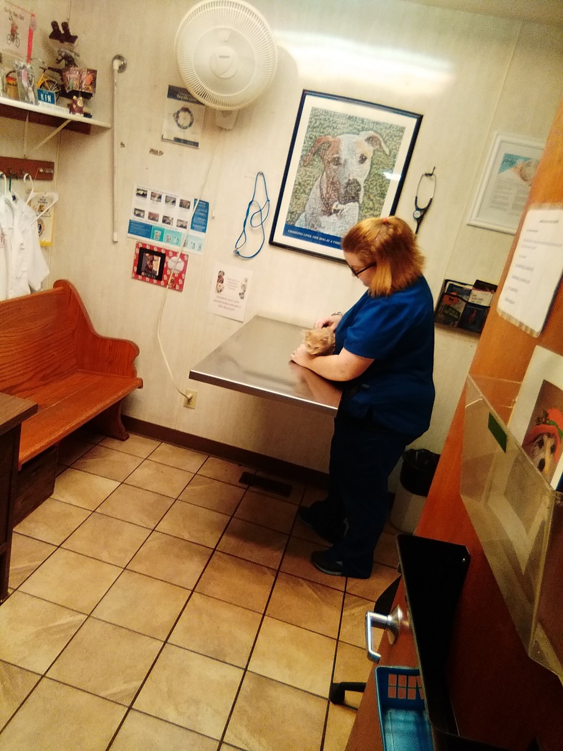 Exam Rooms Animal Health Care Center Arcola, IL